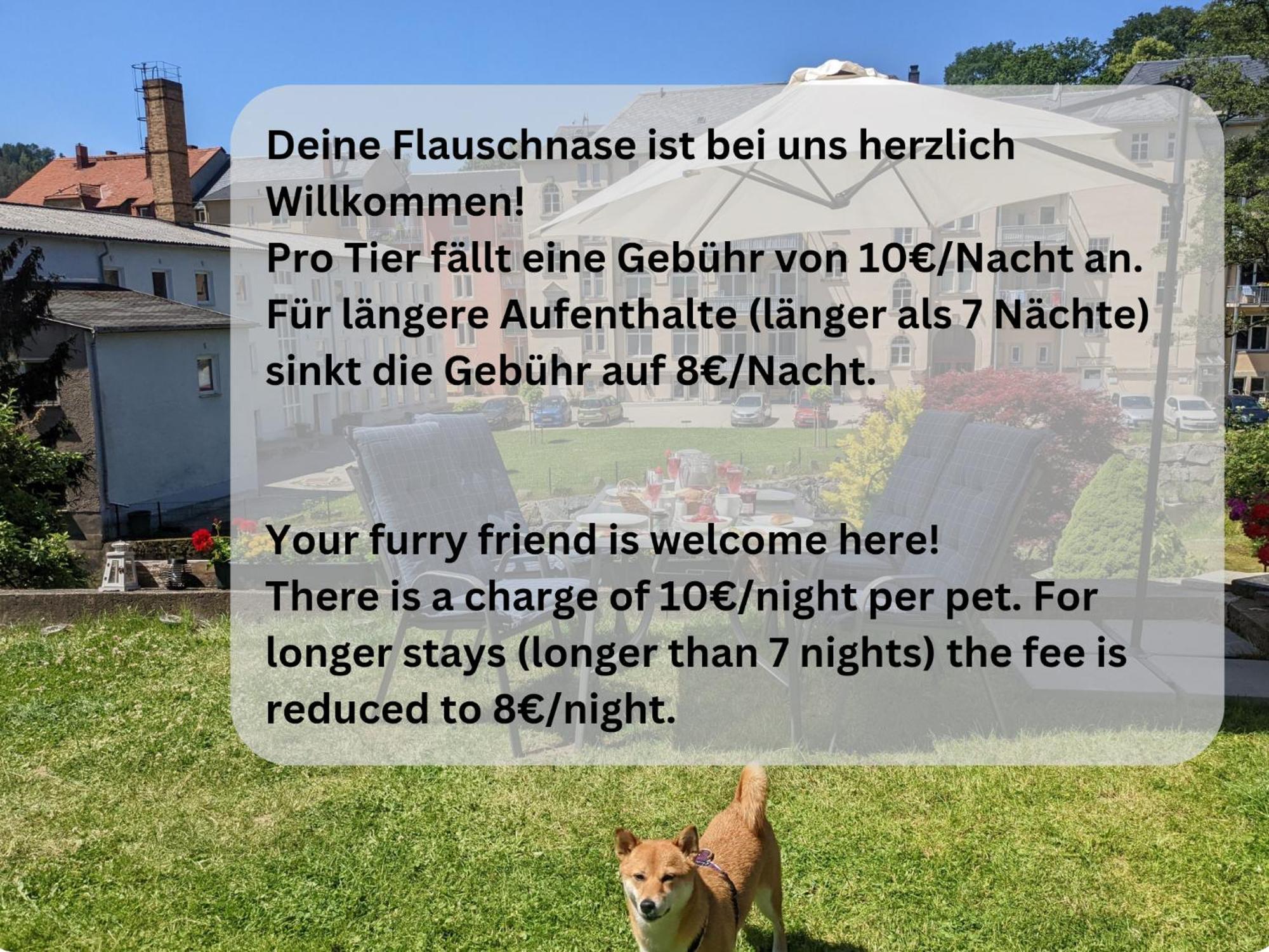 F4 - Urlaubsmagie - Grosse Wohnung Fuer Bis Zu 10 Personen ゼーブニッツ エクステリア 写真
